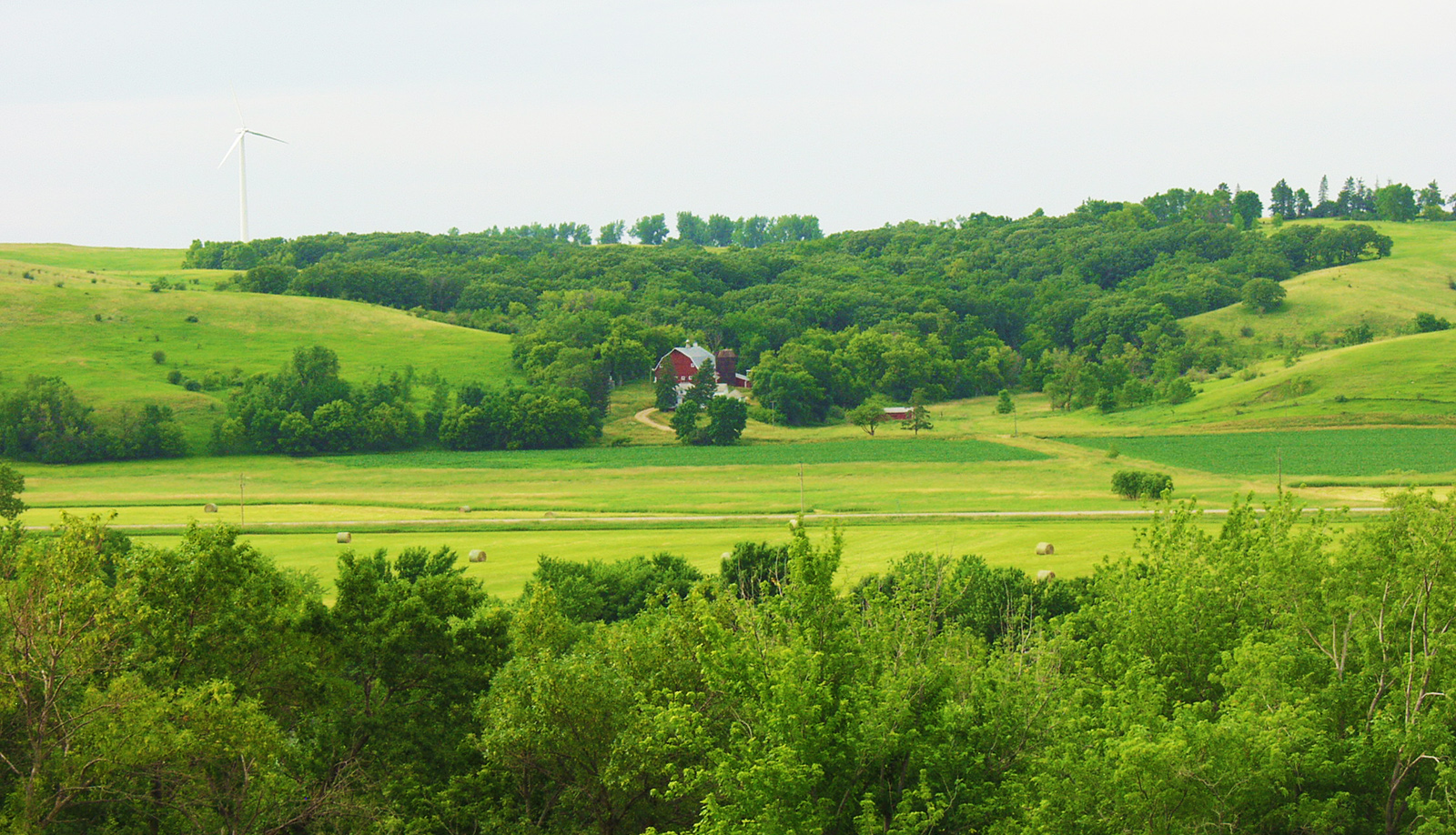 Local town farmstead
