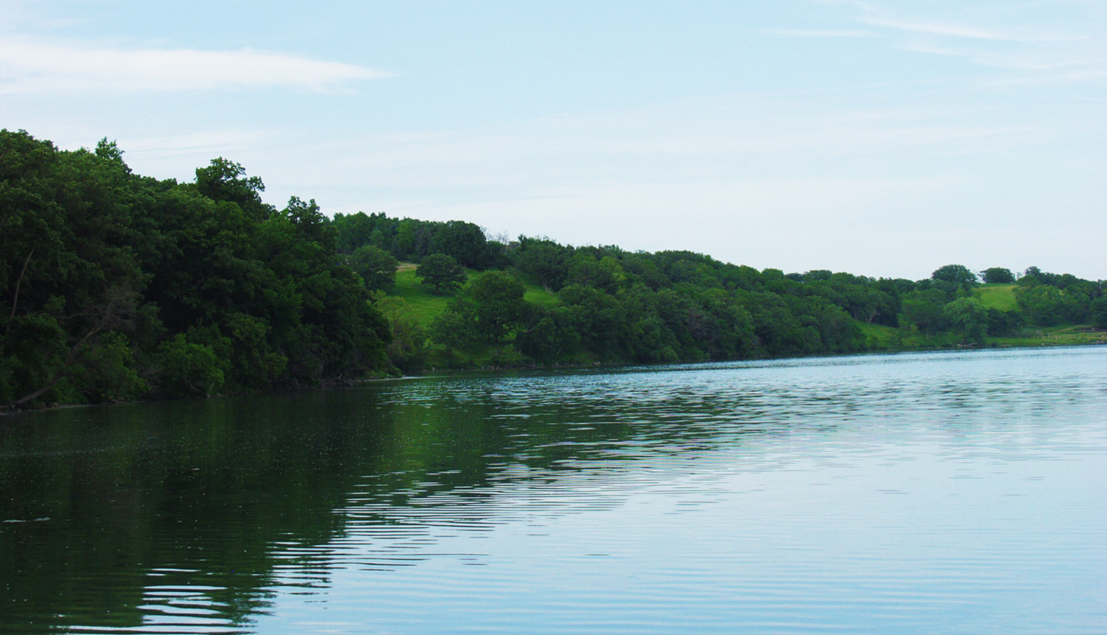 Tree-lined lake views
